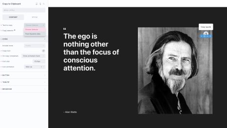 Copy to Clipboard screenshot